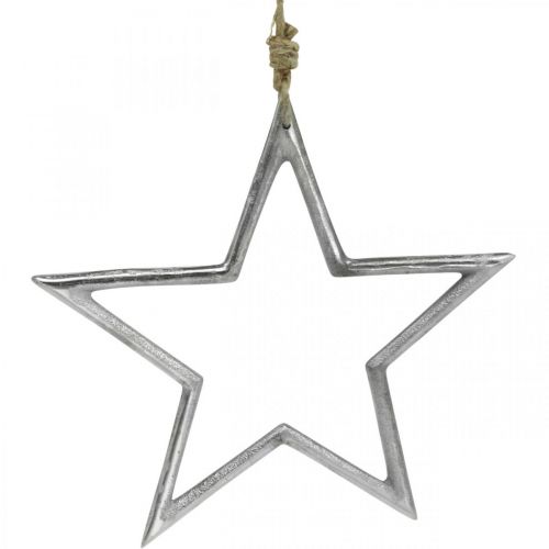 Floristik24 Décoration de Noël étoile, décoration de l&#39;avent, pendentif étoile argent L24,5cm