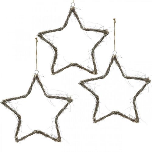 Floristik24 Décoration de Noël étoile étoiles blanchies à suspendre orme 30cm 4pcs