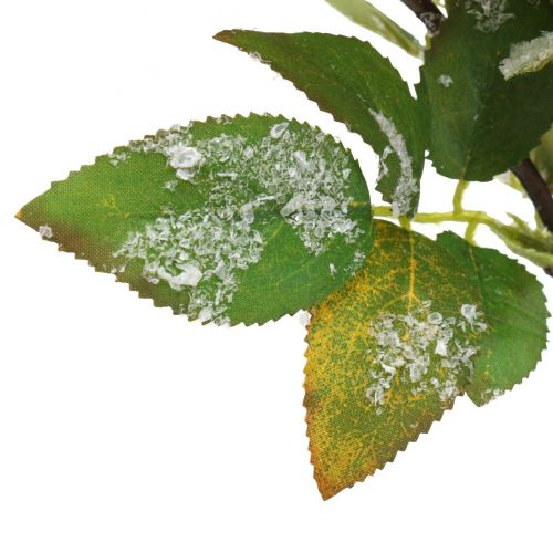 Floristik24 Branches de Noël aux fruits rouges, décoration d'hiver, harpe rouge neigé L58cm