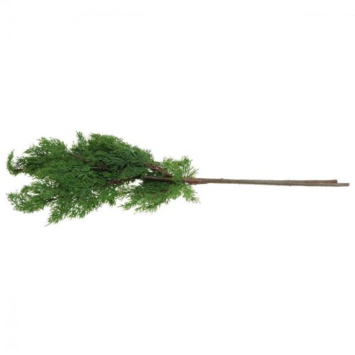 Floristik24 Branches de Noël branches de cyprès vert artificiel 72cm 2pcs