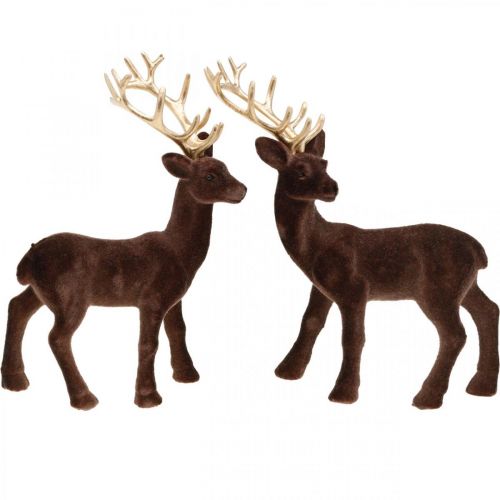 Floristik24 Décoration de Noël cerf décoratif à poser marron, doré 20cm 2 pcs