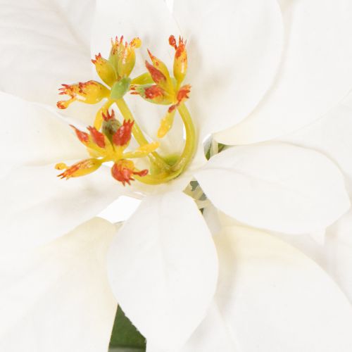 Kunstblume poinsettia blanc grande fleur 40 cm | Floristik24.fr