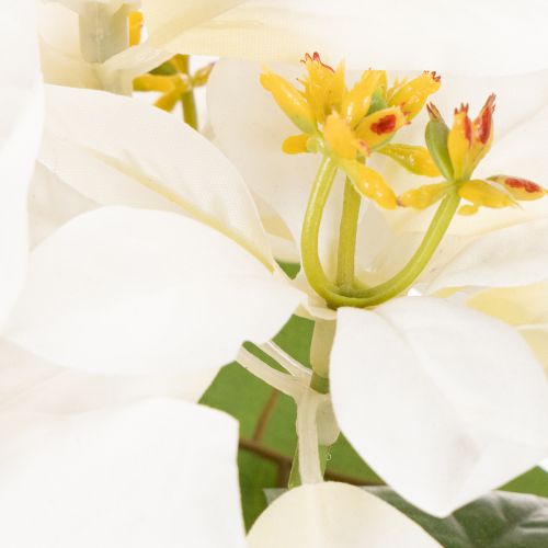 Kunstblume poinsettia blanc grande fleur 40 cm | Floristik24.fr