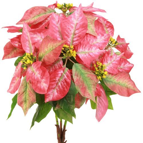 Floristik24 Etoile de Noël étoile de Noël artificielle rouge rose L53cm