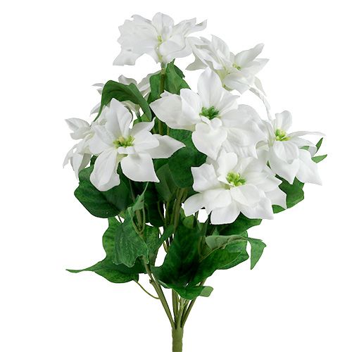 Article Bouquet de poinsettia blanc L45cm