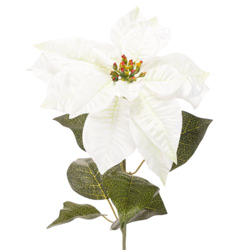 Poinsettia blanc artificiel, grande branche fleurie décorative, 65 cm, 2 pièces acheter | Floristik24.fr