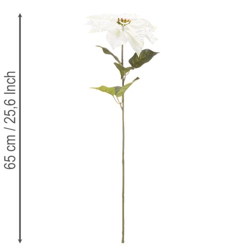 Poinsettia blanc artificiel, grande branche fleurie décorative, 65 cm, 2 pièces | Floristik24.fr