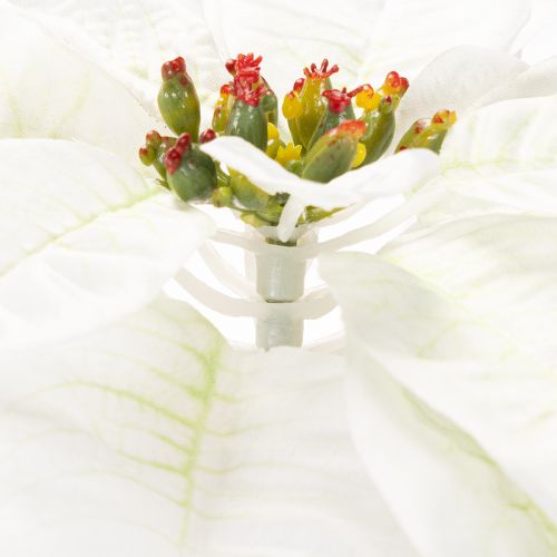 Poinsettia blanc artificiel, grande branche fleurie décorative, 65 cm, 2 pièces | Floristik24.fr