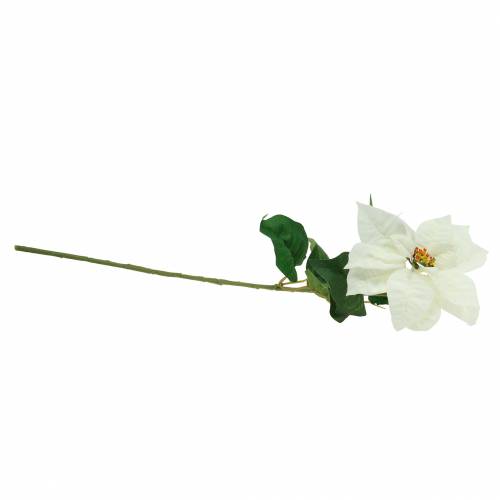 Floristik24 Poinsettia, fleur artificielle blanche 67cm