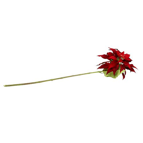 Floristik24 Etoile de Noël rouge 70cm