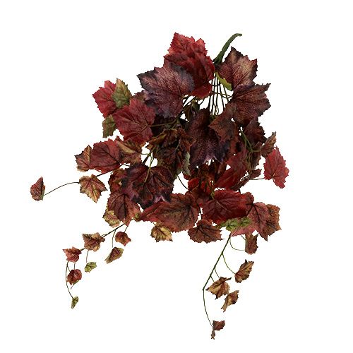 Cintre feuilles de vigne vert, bordeaux 67cm