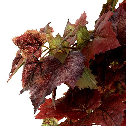 Article Porte-feuilles de vigne vert, rouge foncé 100cm