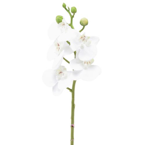 Floristik24 Orchidée artificielle blanche Phalaenopsis Real Touch 32cm