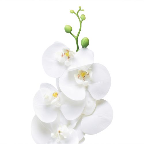 Article Orchidée artificielle blanche Phalaenopsis Real Touch 85cm