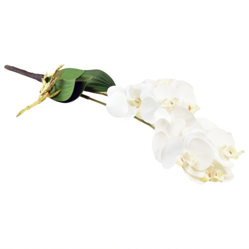Article Orchidée blanche sur pic Phalaenopsis artificiel Real Touch 39cm