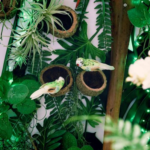 Floristik24 Perruche sur clip vert 13cm 6pcs