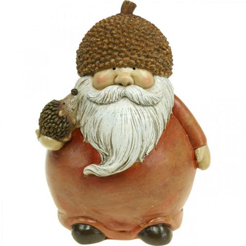 Floristik24 Figurine de diablotin avec gland et hérisson figurine décorative marron d'automne H19cm