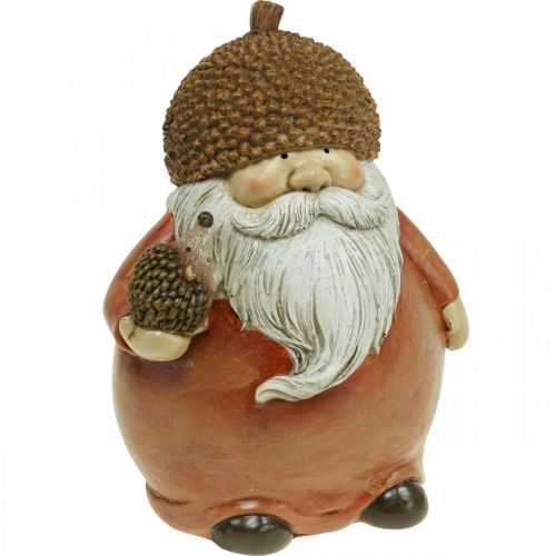 Floristik24 Figurine de diablotin avec gland et hérisson figurine décorative marron d'automne H19cm