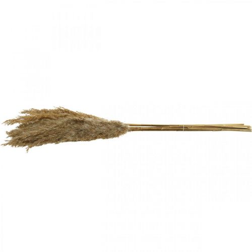 Article Carex d&#39;herbe sèche décoration sèche naturelle 75cm 10 pcs