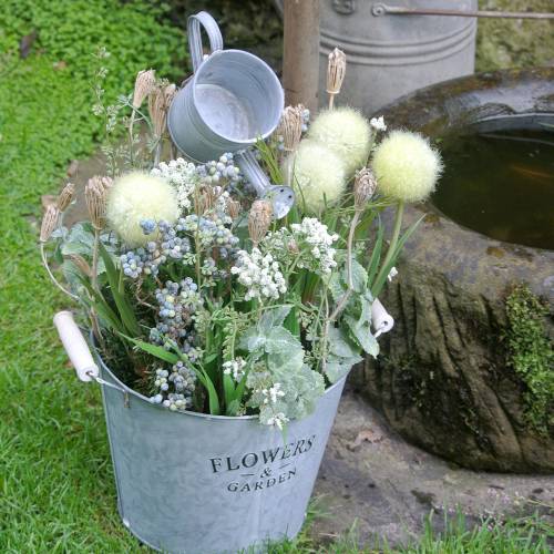 Floristik24.fr Bouquet de fleurs sauvages, millefeuille naturel, blanc lavé  30–60cm 150g - acheter pas cher en ligne