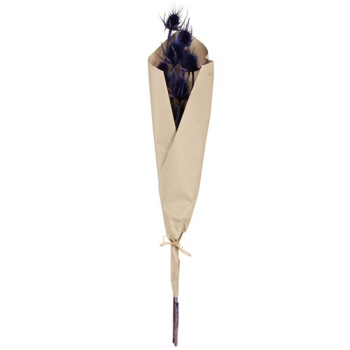 Article Cardère sauvage Fleurs séchées Cardère Chardons Violet 55cm 10 têtes