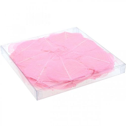 Article Feuilles de squelette Feuilles de saule squelettées roses 5-9cm 200 pcs