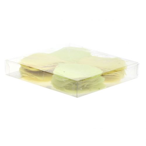 Floristik24 Feuilles de saule squelettées jaunes, mélange 200 pcs