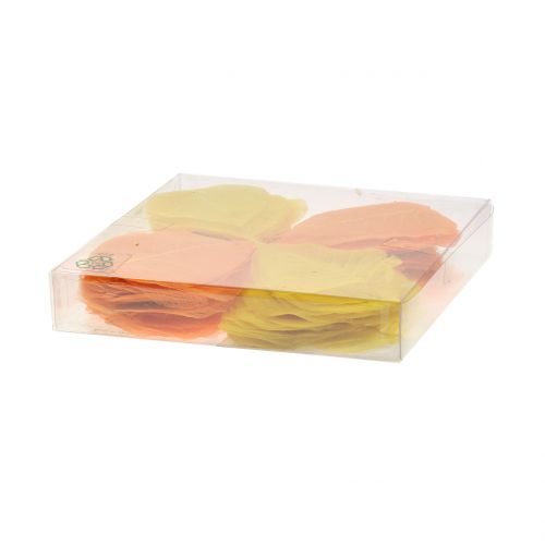 Floristik24 Feuilles de saule squelettées jaune, orange 200 pcs