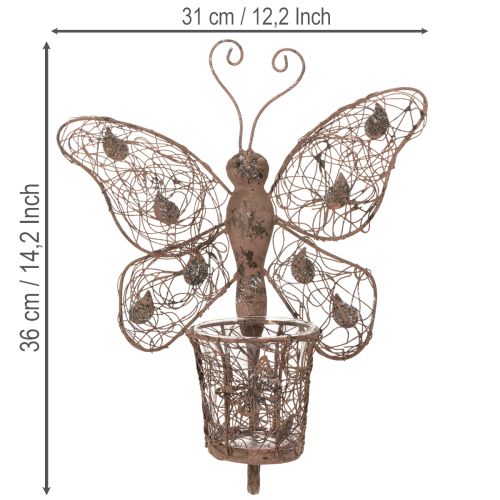 Lanterne en métal, décoration murale, papillon, finition rouille, 36,5 cm | Floristik24.fr