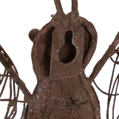 Lanterne en métal, décoration murale, papillon, finition rouille, 36,5 cm | Floristik24.fr