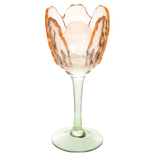 Floristik24 Porte-bougie chauffe-plat en verre en forme de tulipe, style vintage, décoration romantique pour la maison, 20 cm