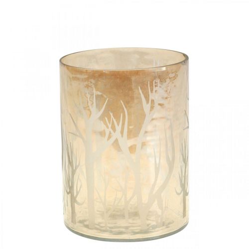 Floristik24 Lanterne Verre Déco Arbres Marron Photophore Verre Ø9.5cm H13.5cm