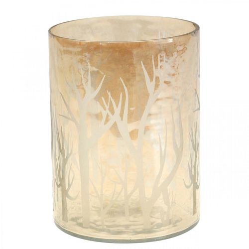 Lanterne Verre Arbres Marron Bougie Verre Ø12cm H15cm