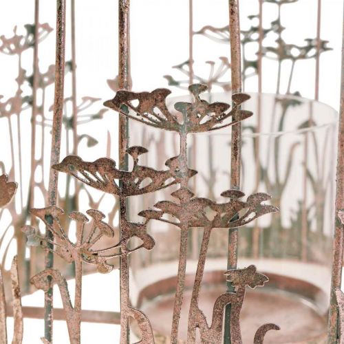 Floristik24 Lanterne métal décoration à suspendre Ø29/23,5cm décoration cage à oiseaux lot de 2