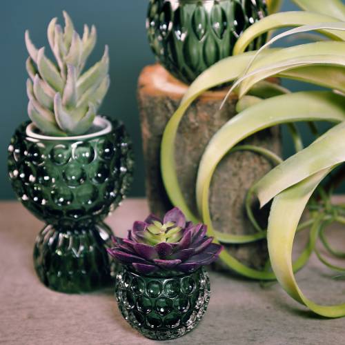 Floristik24 Lanterne en verre vert foncé Ø11,5cm H9cm 1p