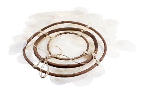 Floristik24 Carillon à vent carillon maritime coquillages Capiz naturel 90cm