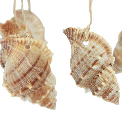 Article Carillon à vent décoration maritime avec noix de coco naturelle Ø12,5cm 48cm