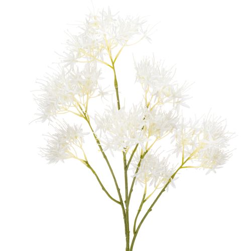 Floristik24 Branche de fleur artificielle pour un intérieur moderne et une décoration élégante, 75 cm