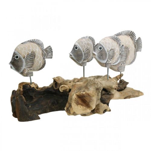 Floristik24 Poisson déco sur bois de racine Figurines déco maritime marron 38cm