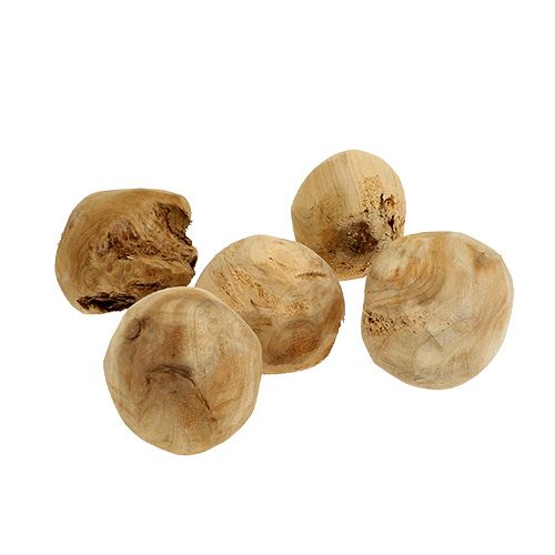 Floristik24 Motte de racines en bois de sapin Ø7cm naturel 5 pcs