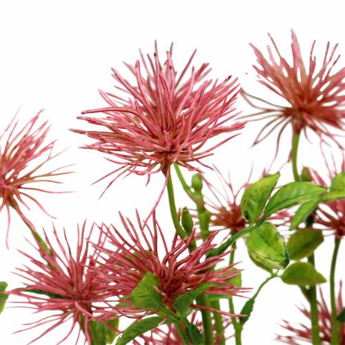 Floristik24 Xanthium fleur en soie vieux rose 53cm 6pcs