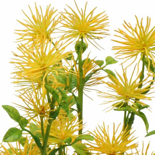 Floristik24 Xanthium fleur de soie jaune 53cm 6pcs