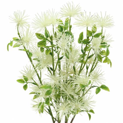 Floristik24 Xanthium fleur de soie blanc 53cm 6pcs