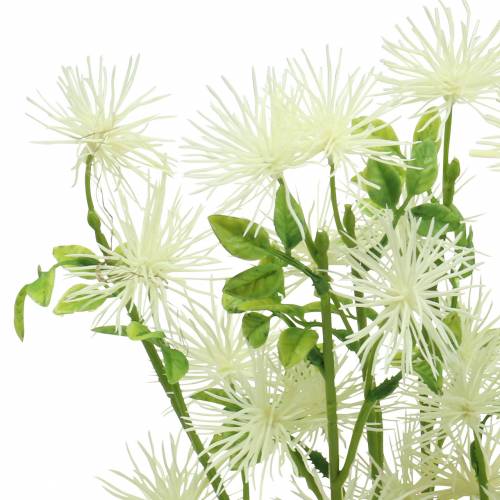 Floristik24 Xanthium fleur de soie blanc 53cm 6pcs