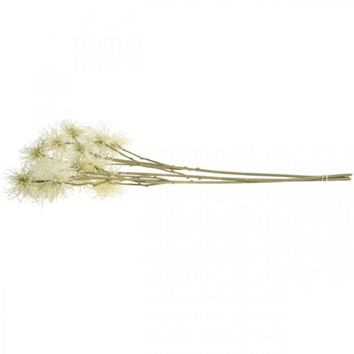 Article Xanthium fleur artificielle crème décoration d&#39;automne 6 fleurs 80cm 3pcs