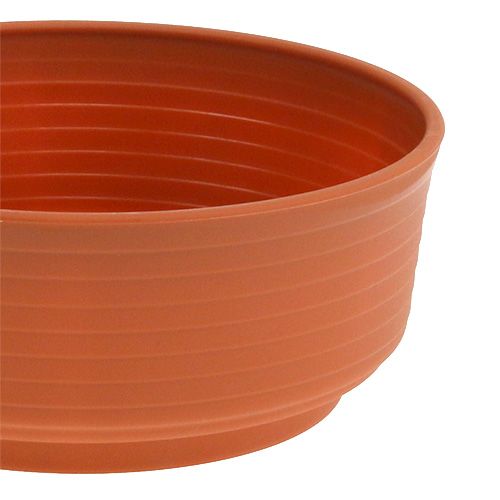 Article Bol en Z en plastique Ø16cm 10 pièces