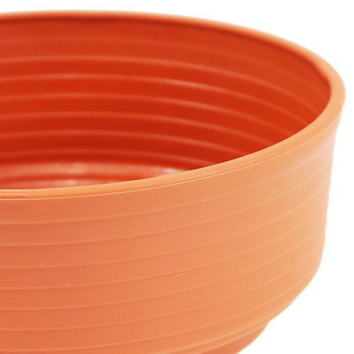 Article Bol en Z en plastique Ø 16 cm - 22 cm, 10 pièces