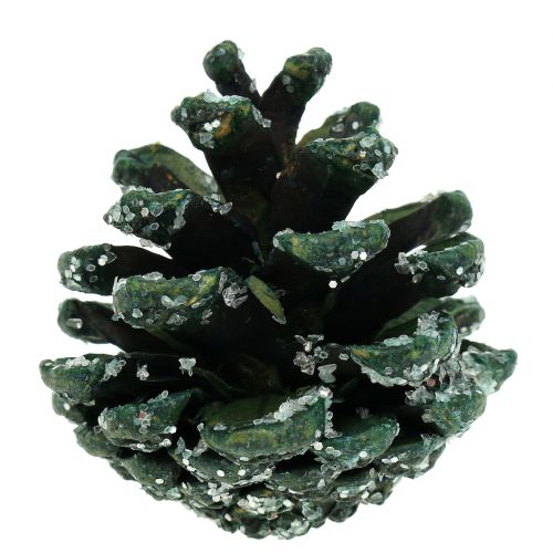 Floristik24 Pommes de pin vertes glacées 200g
