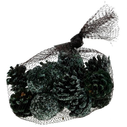 Floristik24 Pommes de pin vertes glacées 200g