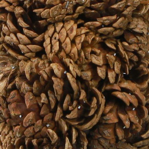 Floristik24 Cône de sapin de Noël décoratif naturel 14×50cm